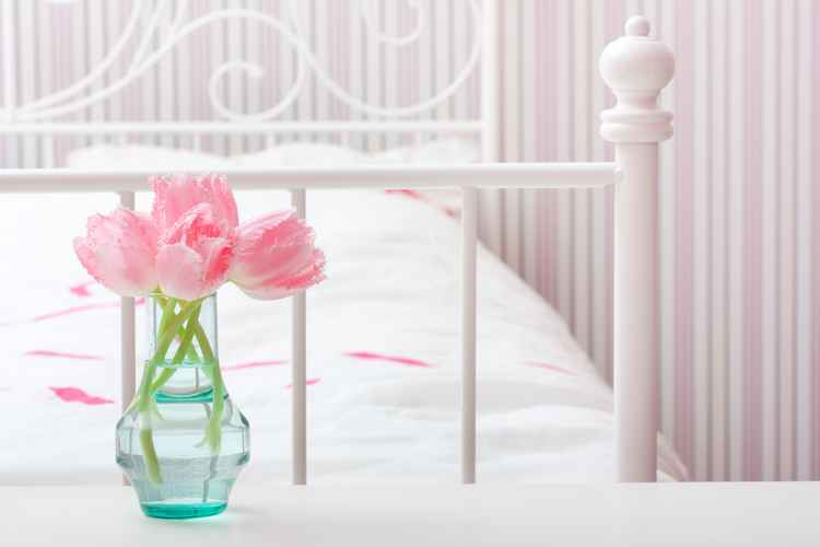 bed tulip pink dreamstime_xxl_39391726