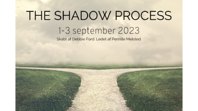 The Shadow Process Retreat (september 2023)
