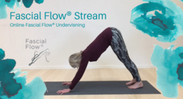 Core Kat - Susanne Laugesen - Fascial Flow Stream