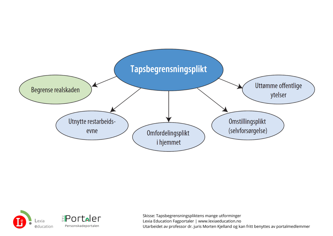 Hjelpeskisse, Tapsbegrensningspliktens mange utforminger. Lexia Education Fagportaler