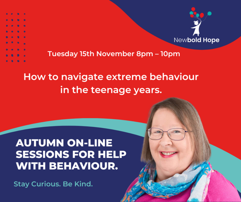 Webinar 10 Replay - How to navigate extreme behaviour in the teenage years