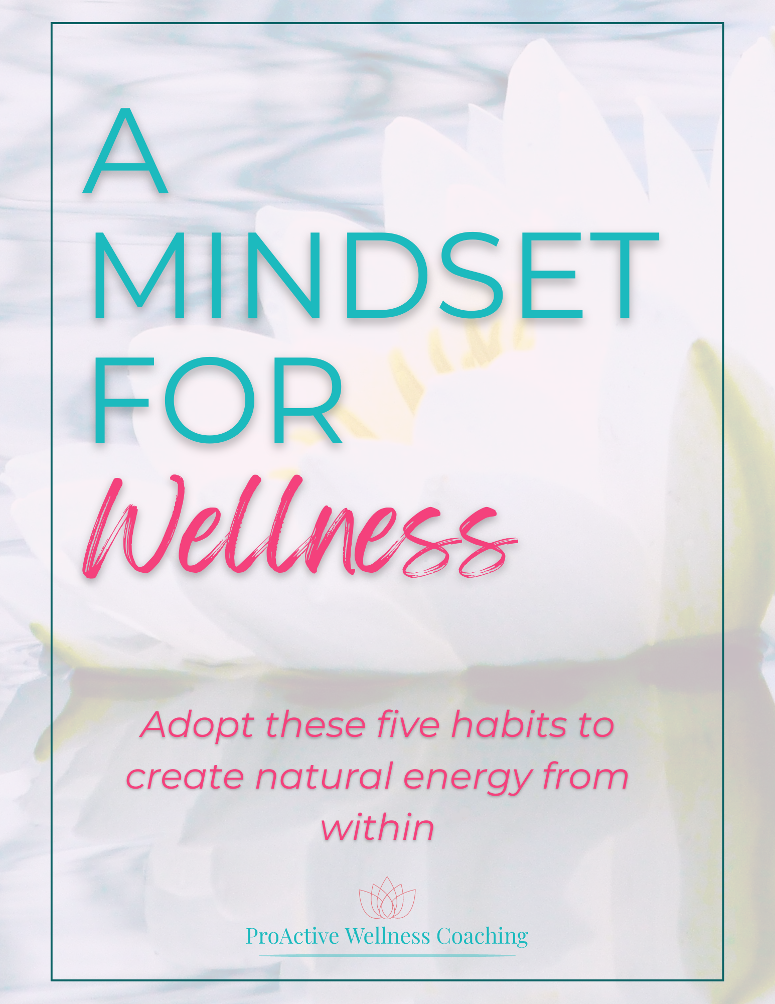 Mindset for wellness eBook