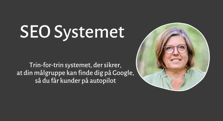 SEO Systemet - Hold 2