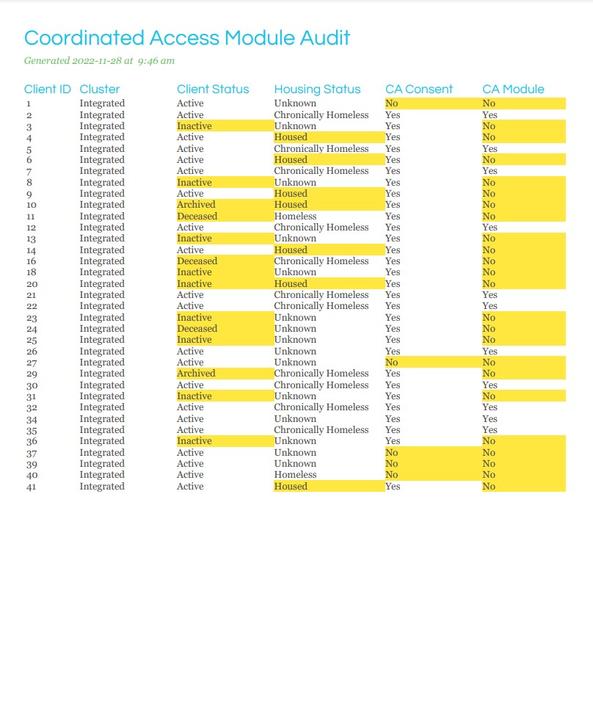 Coordinated Access Audit - Sample Output