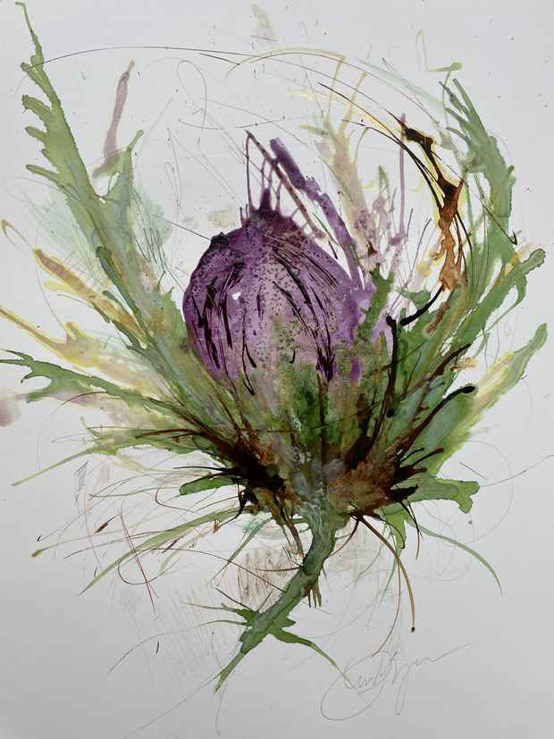 Kæmpe Protea i akvarel