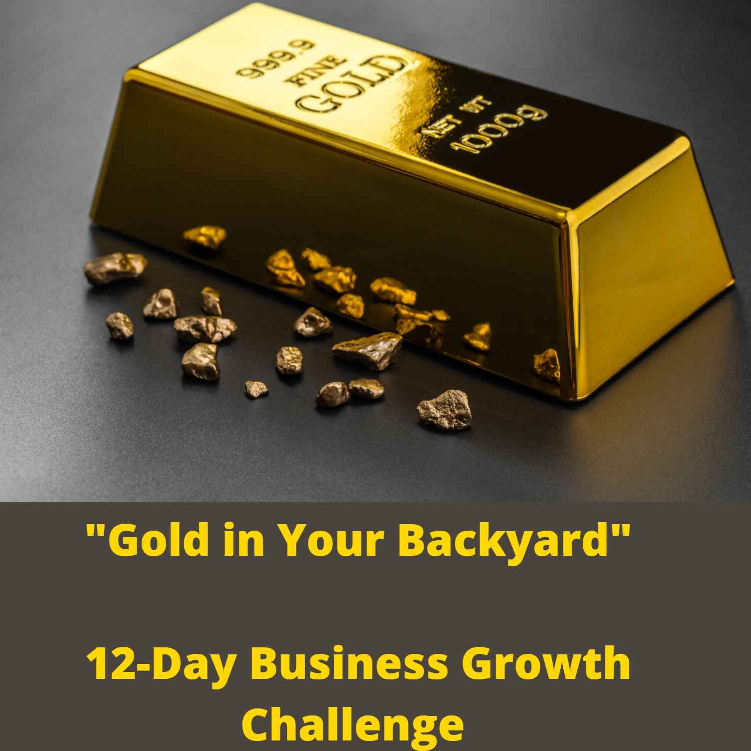 Gold in Your Backyard 12 Day Business Growth