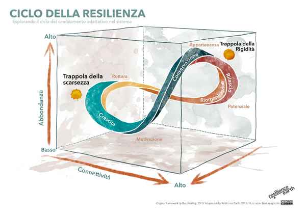 CICLO DELLA RESILIENZA