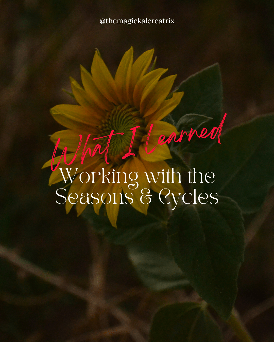 What I Learned Working with The Seasons & Cycles 2022-min