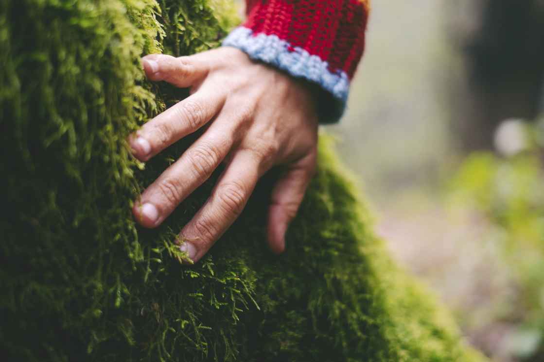 Simona Pilolla hånd på mos på træ blødt lys