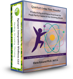 Quantum Leap Your Results Course 