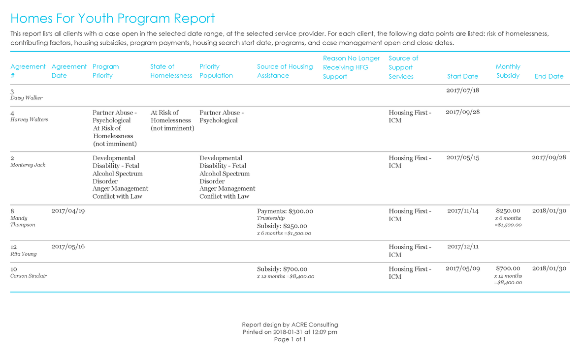 Homes For Youth Report - Sample Output