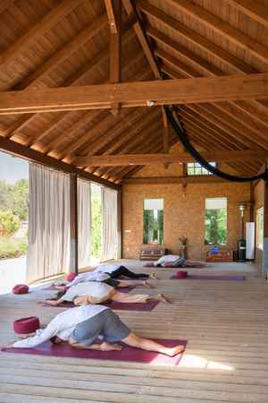 Hatha yoga, Qigong, Meditationer, dynamiske meditationer, naturlig heling, restorativ yoga