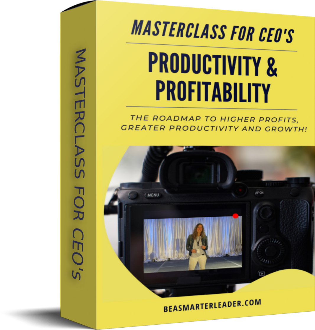 Productivity and Profitability Masterclass for CEOs Box