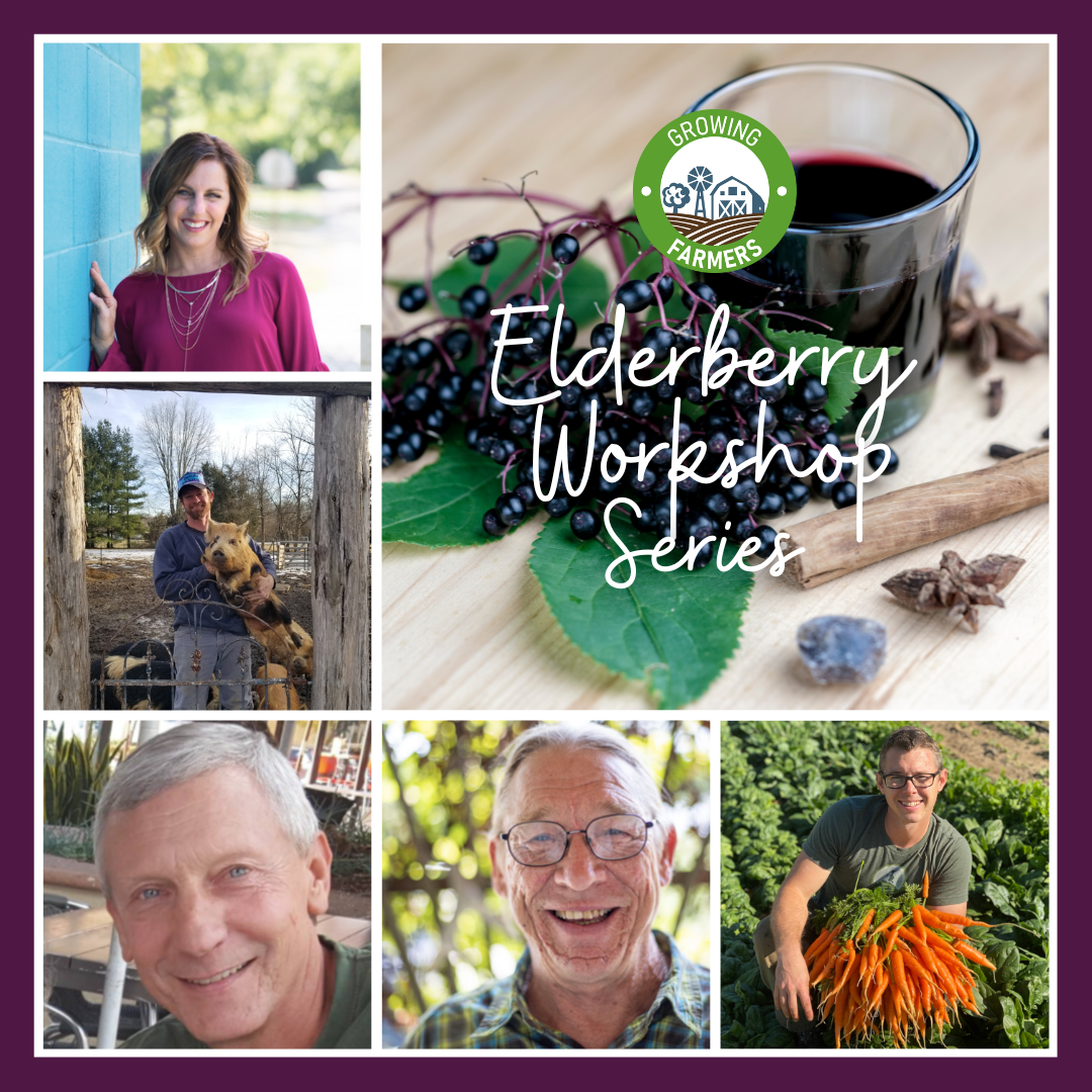 Elderberry Workshop Series -1
