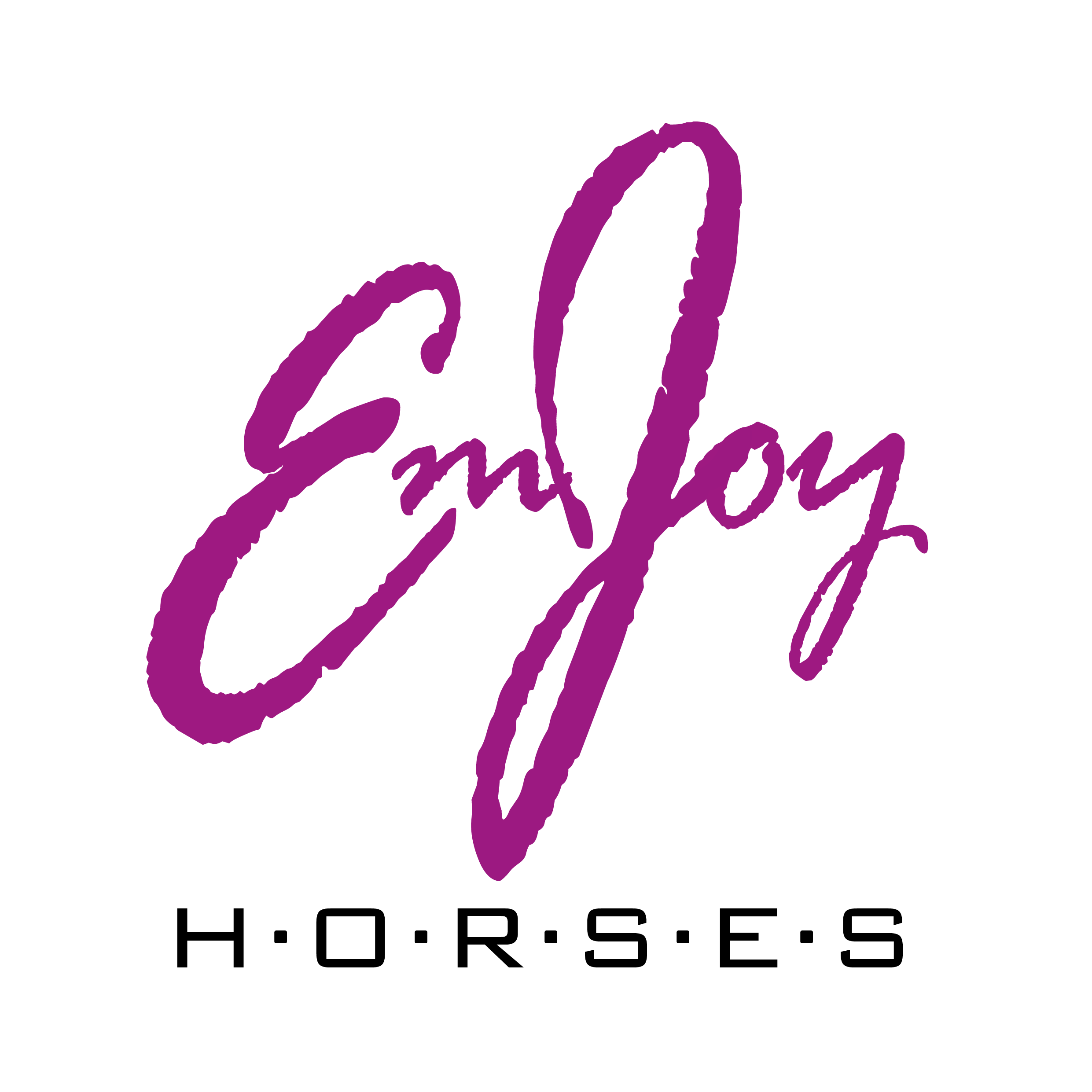 EmJoy logo