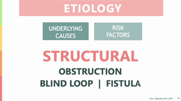 etiology__structural_risk_factors_final (1080p)