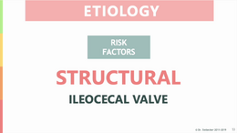 etiology__ileocecal_valve_final (1080p)