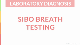 diagnosis__sibo_breath_testing_final (1080p)