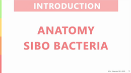 Introduction- Anatomy FINAL