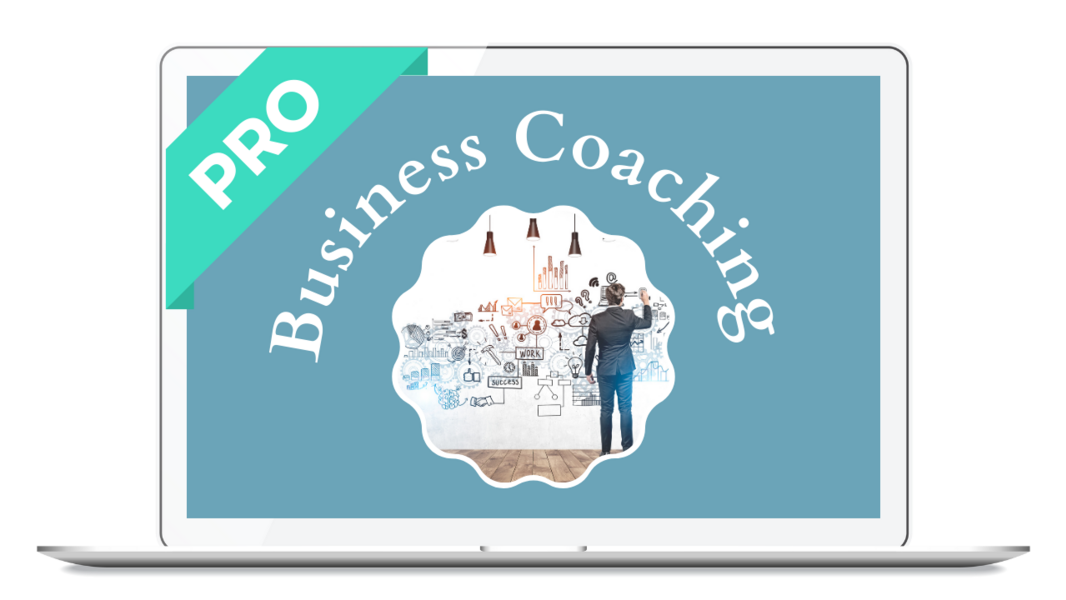 Business Coaching PRO LEVEL Transparent