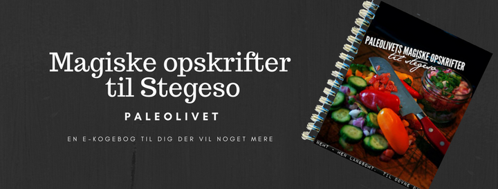 stegseo_header