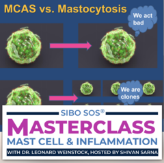 MC Mast Cell Weinstock image
