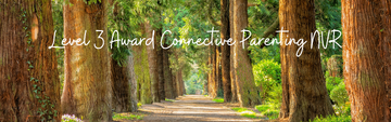 Level 3 Award Connective Parenting NVR