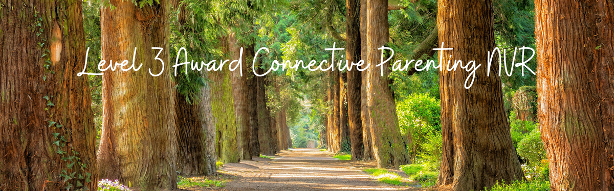 Level 3 Award Connective Parenting NVR