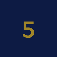 Blue with Gold Number.5