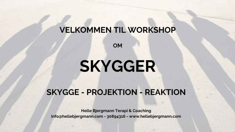 SKYGGE workshop