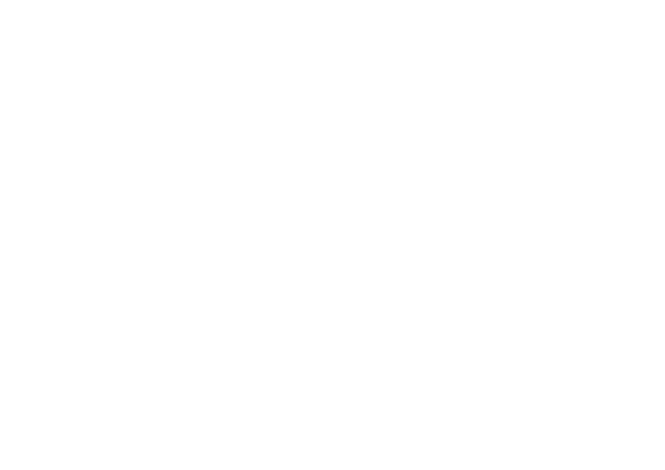 Future Navigators logo white