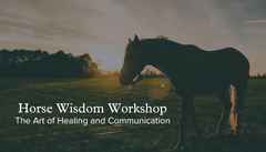 Equine Therapy Workshop