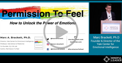 BL00 - Permission to Feel How to Unlock the Power of Emotions