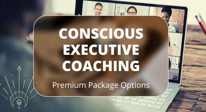 PCI Executive coaching
