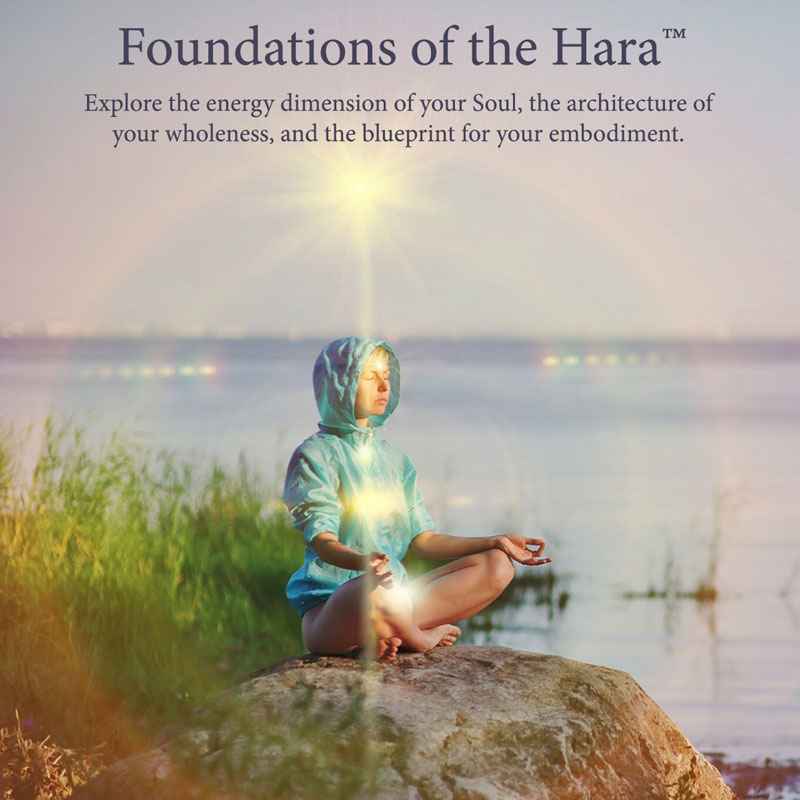 foundations-hara-2022-product