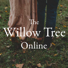 Willow Tree Online Podcast Art