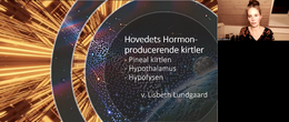 Hovedets Hormon Kirtler Lisbeth Lundgaard
