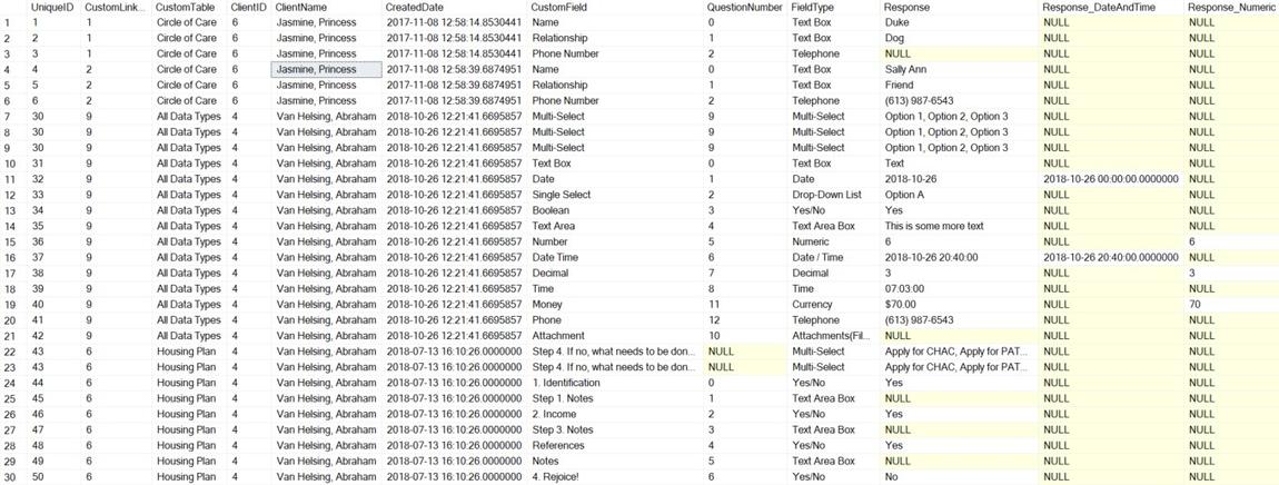 vw_ACRE_CustomTables_Clients - Sample Output