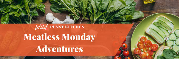 Meatless Monday Adventures Email