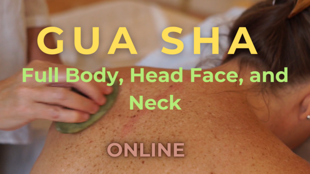 GUA SHA full body head face neck