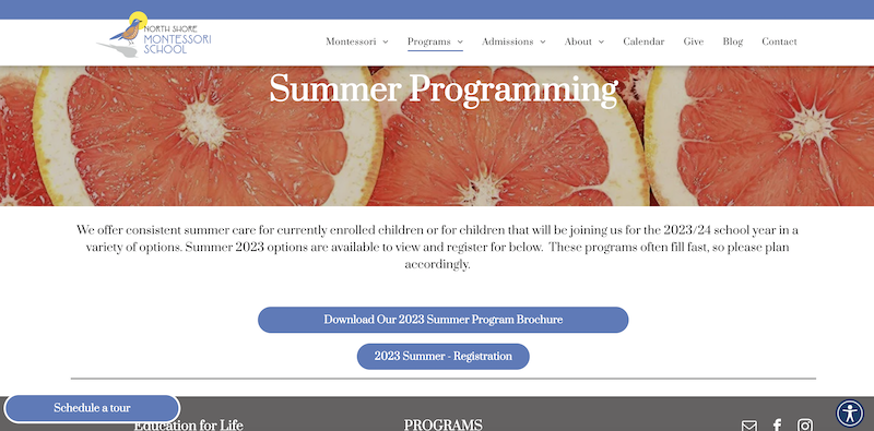 NSMS Summer Program