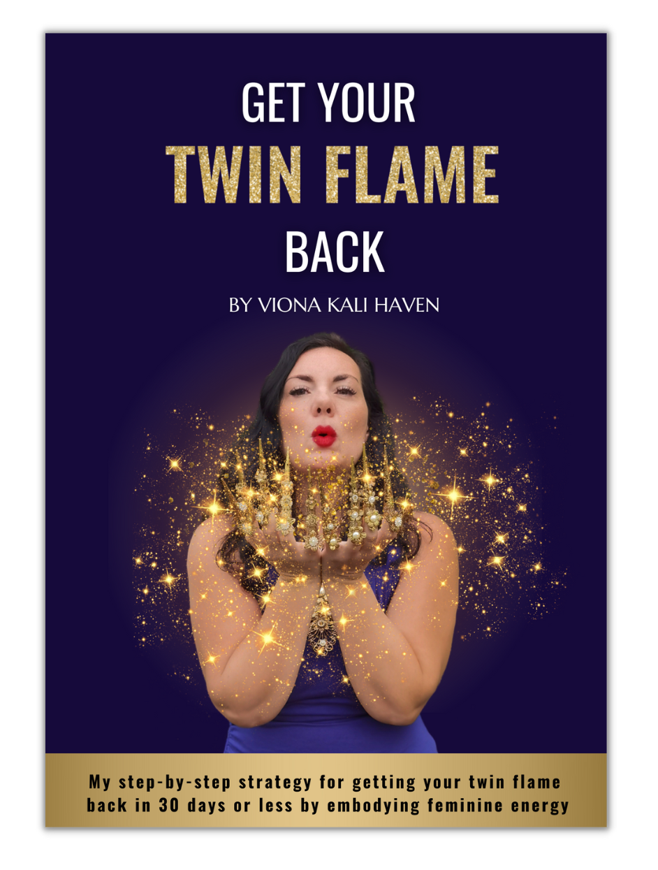 get your twin flame back book