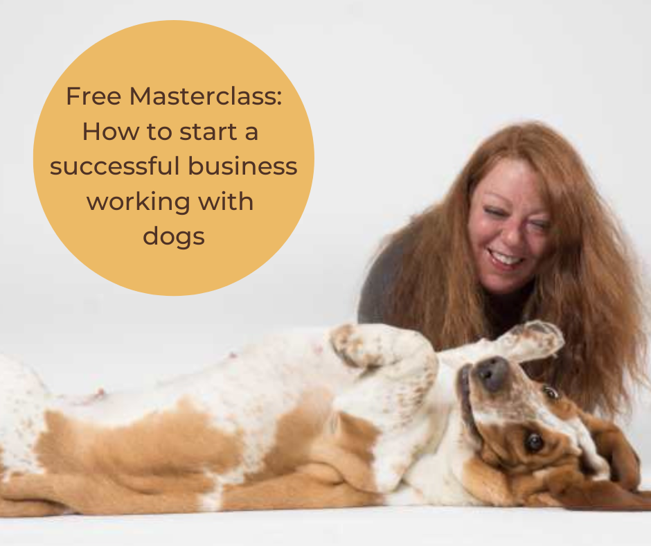 Free workshop make your dream job working with dogs (4)