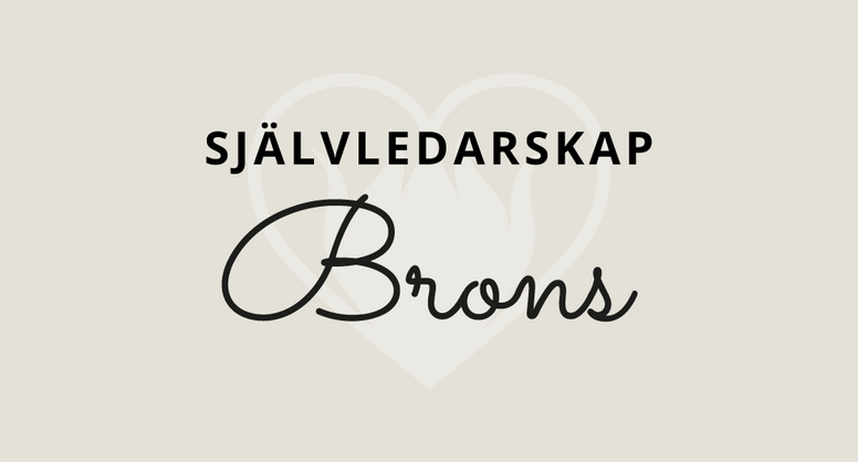 Lyckans Smed Självledarskap - Brons