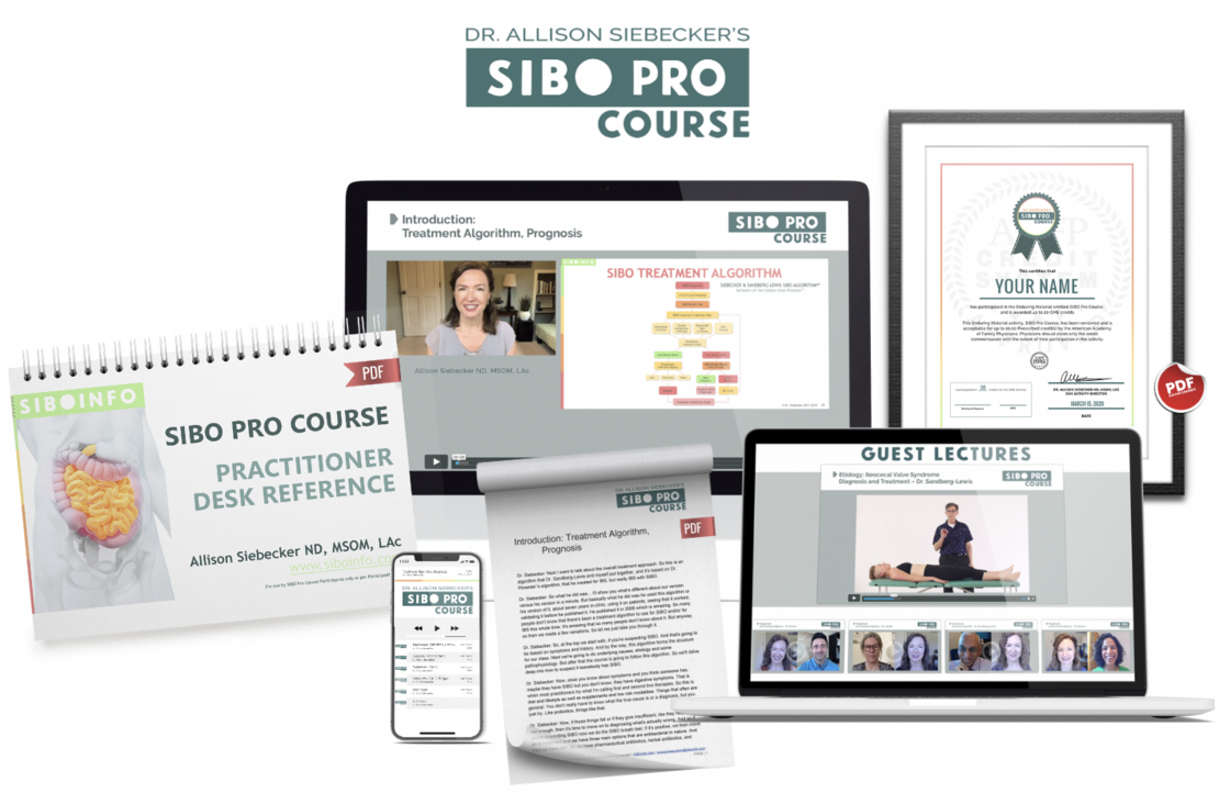 SIBO Pro Course array IMAGE