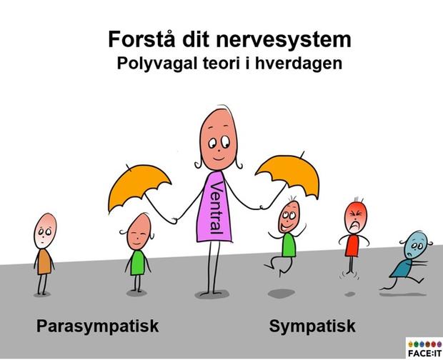 polyvagal teori i hverdagen 