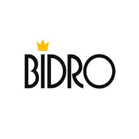 bidrooo-1