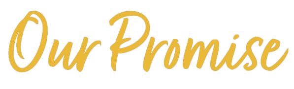 Our Promise title yellow Color Crush Creative