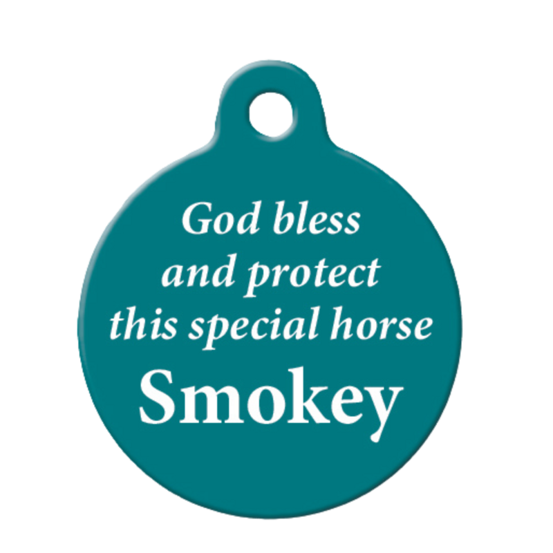 Horse.Teal back w name - no backgroundpng