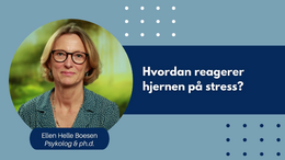 Hvordan-reagerer-hjernen-paa-stress-hd